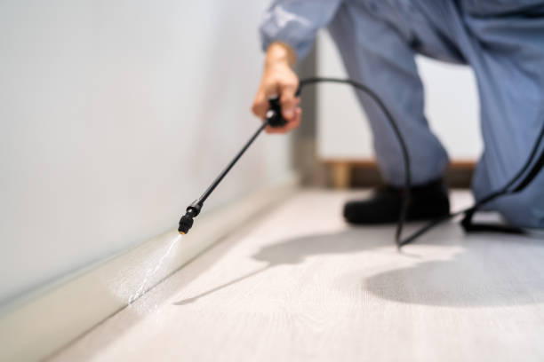 Licensed Pest Control service in Cavalero, WA - Show Me Pest Control