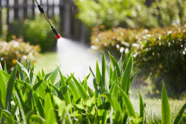 24/7 Emergency Mosquito Control experts in Cavalero, WA