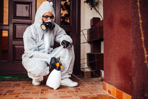 Reliable Mosquito Control contractor in Cavalero, WA by Show Me Pest Control