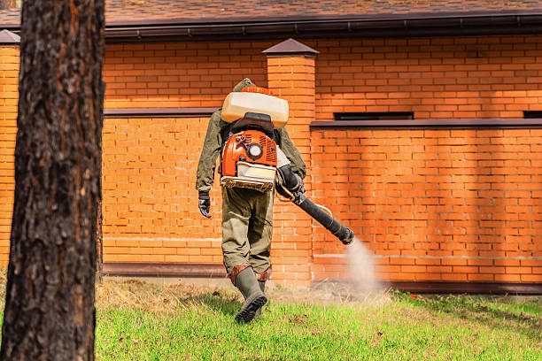 Top rated local Mosquito Control specialists in Cavalero, WA